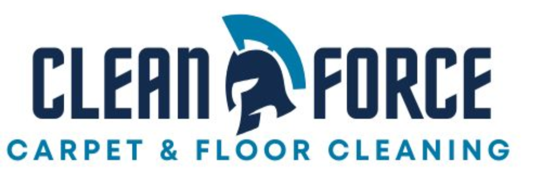 Premium Carpet Cleaning